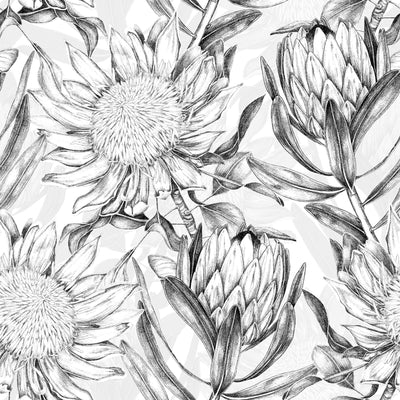 Protea Flowers Floral Tropical Wallpaper