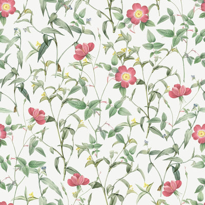 Watercolor Seamless Vintage Botanical Wallpaper