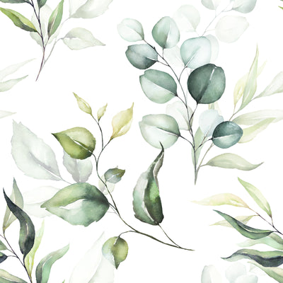 Eucalyptus Watercolour Botanical Leaf Wallpaper