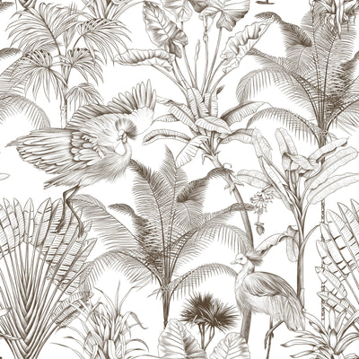 Tropical Crane Bird Forest Wallpaper