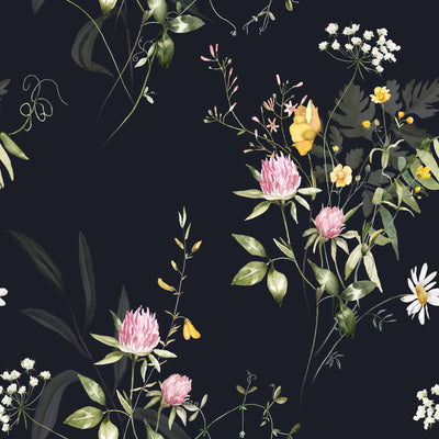 Wild Flowers On Dark Background Wallpaper